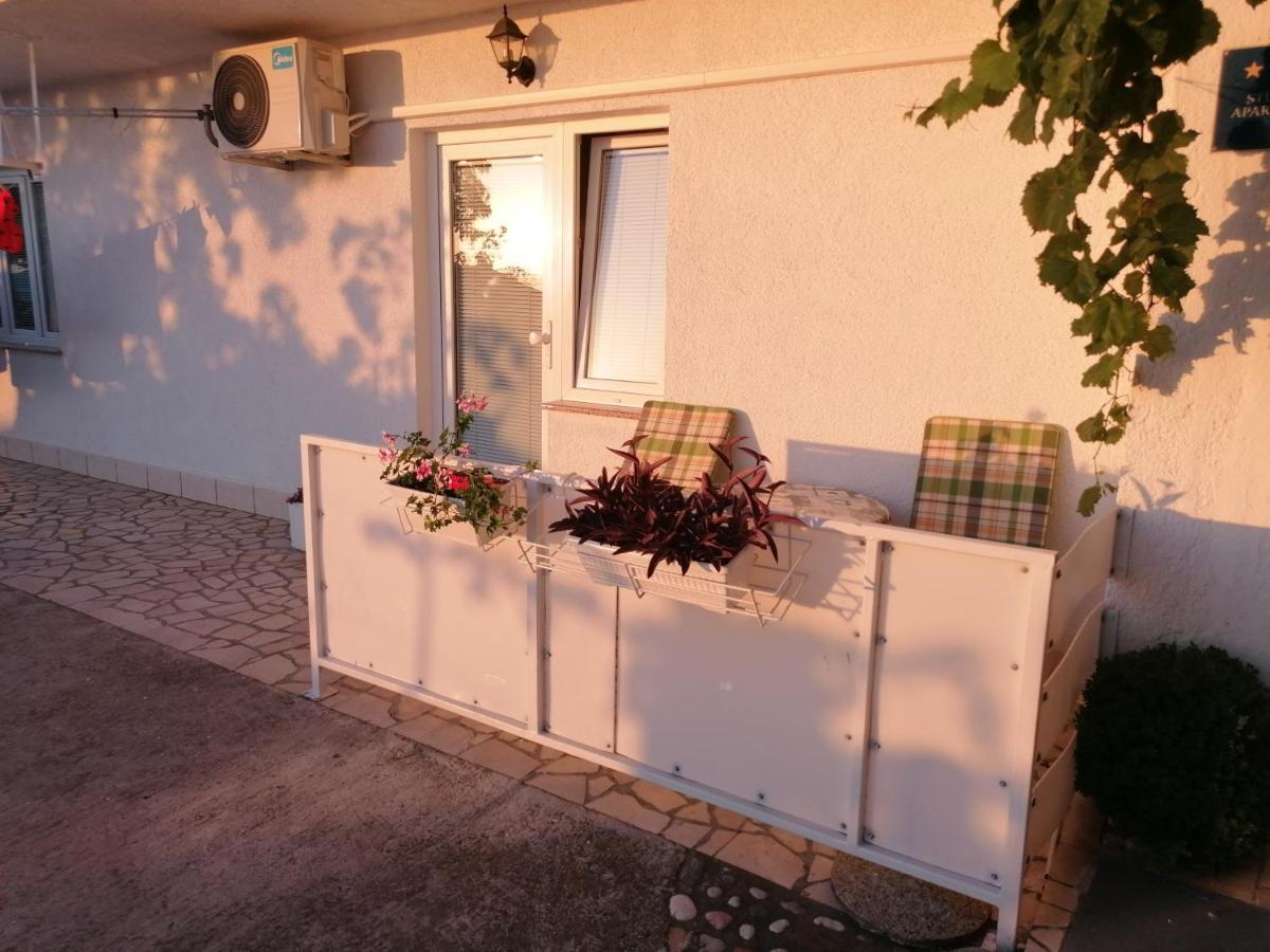 Guest House Pamela 塞尼 外观 照片